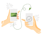 Money Transfer